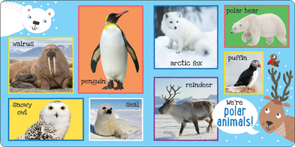 My First 101 ANIMALS Board Book