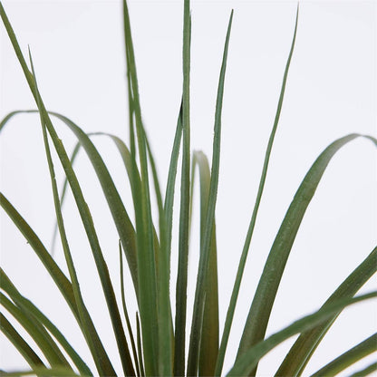 Truu DesignArtificial Spider Plant, 13.78"H