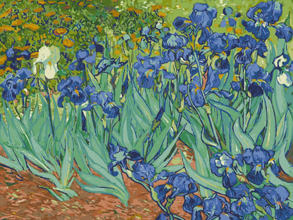 Irises, by Vincent van Gogh - Self-care Paint by Numbers kit: 15x20in