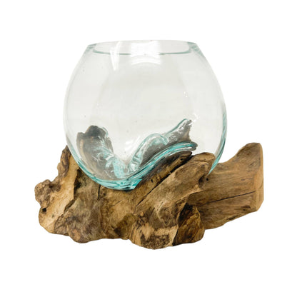Mini Glass Terrarium on Wood (approx. 6" x 5" x 5")