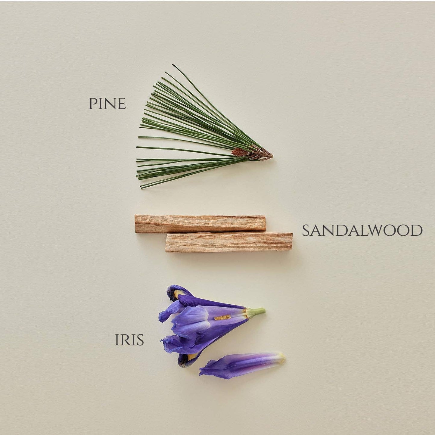 Beauty Of Joseon Pine Grove Eau De Perfume