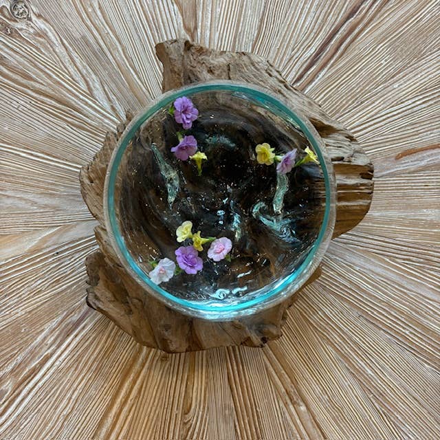 Large Glass Bowl Hand Blown Glass on Driftwood