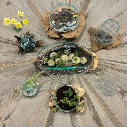 Mini Glass Terrarium on Wood (approx. 6" x 5" x 5")