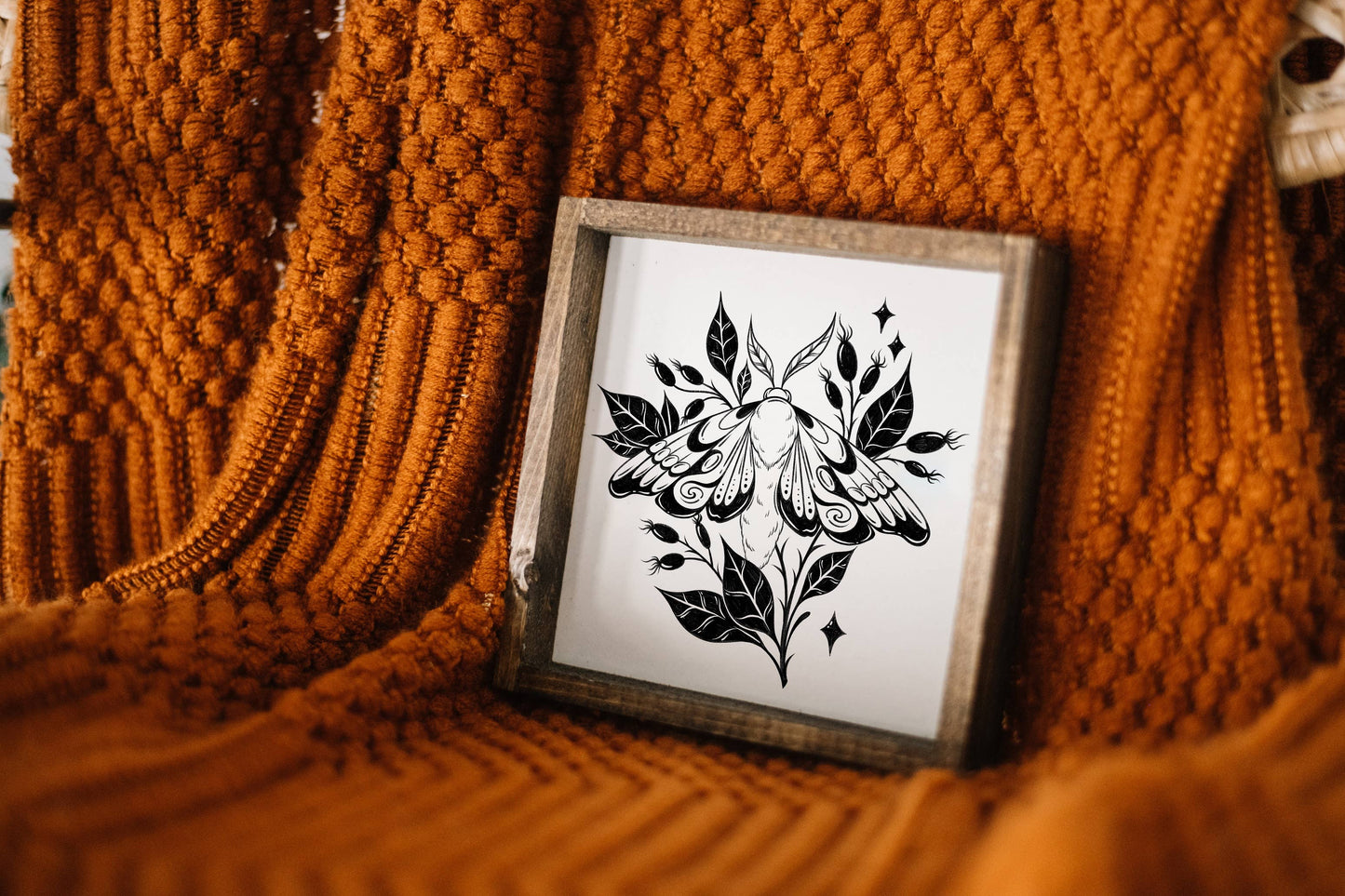 Moth Framed Print: White