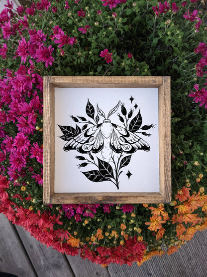 Moth Framed Print: White