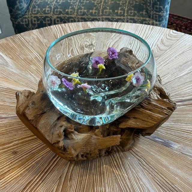 Large Glass Bowl Hand Blown Glass on Driftwood