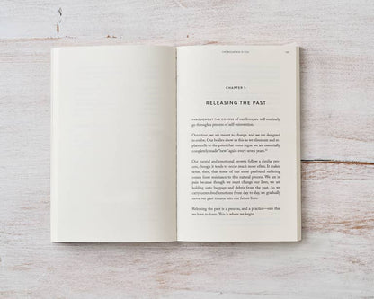 The Mountain Is You - book: Paperback