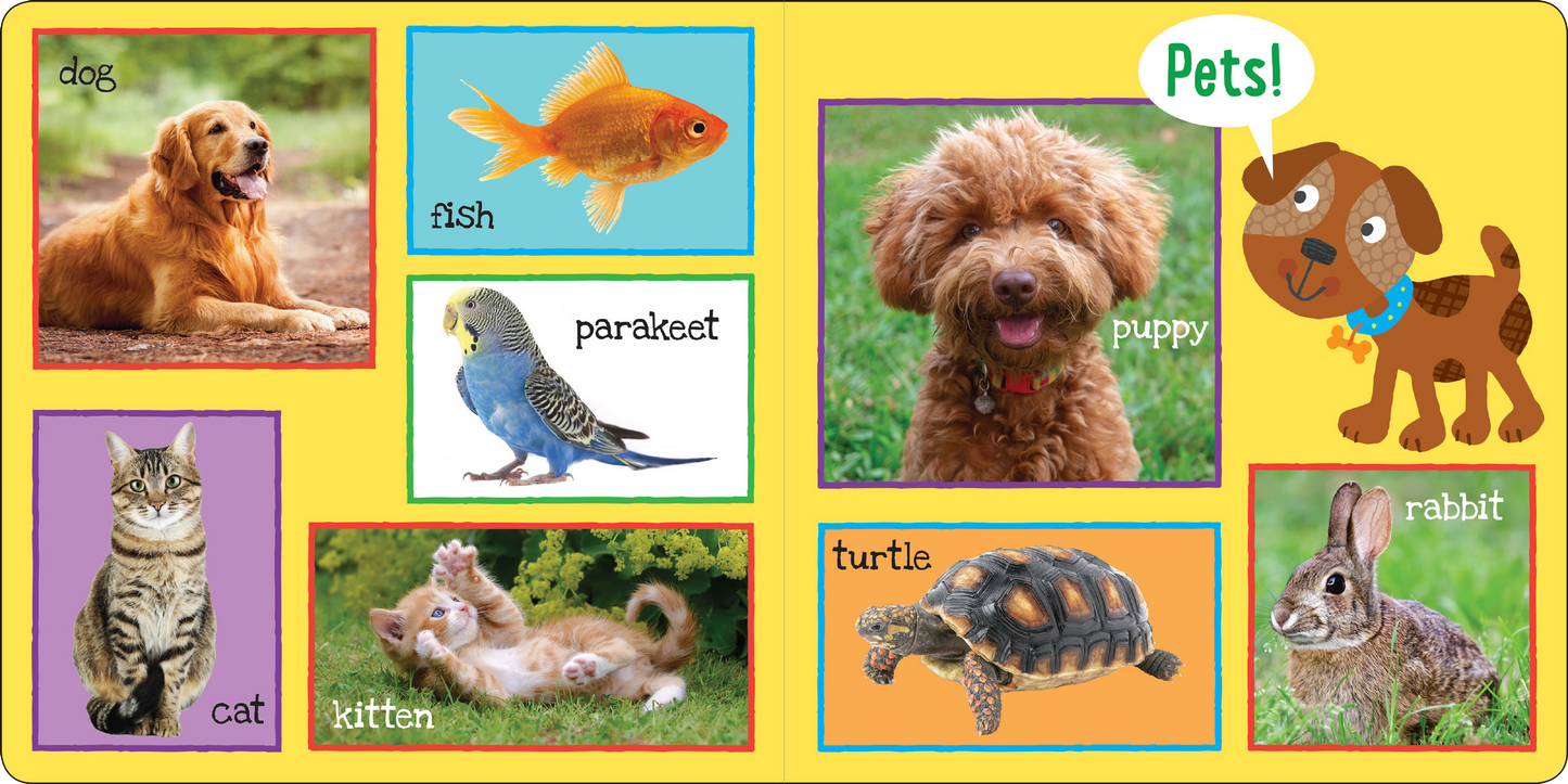My First 101 WORDS Board Book