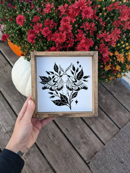 Moth Framed Print: White