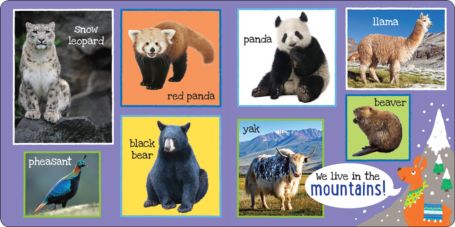 My First 101 ANIMALS Board Book