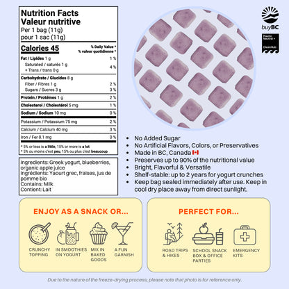 Freeze-Dried Blueberry Yogurt Crunch (Snack Size)