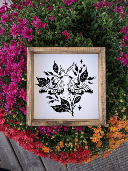 Moth Framed Print: White