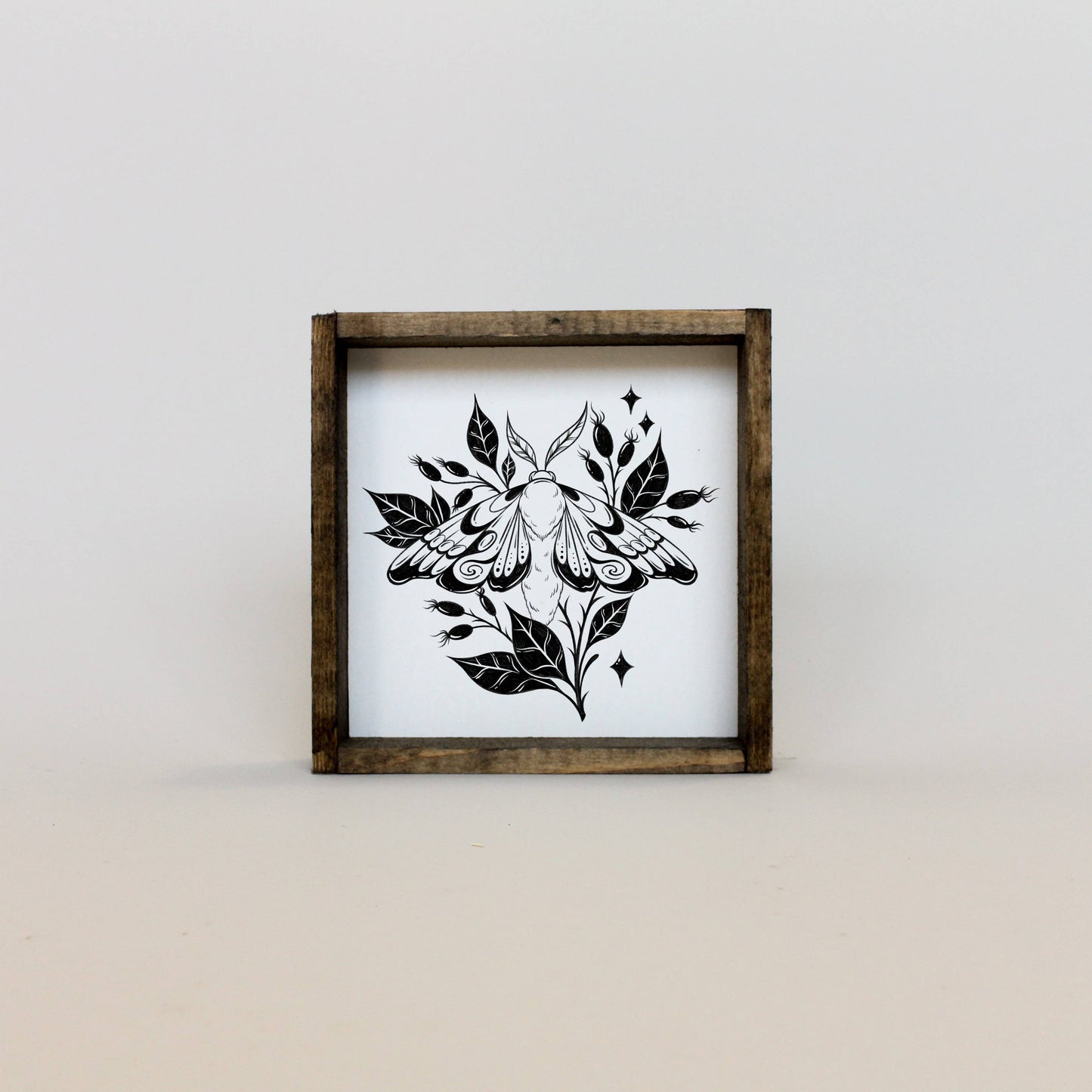 Moth Framed Print: White