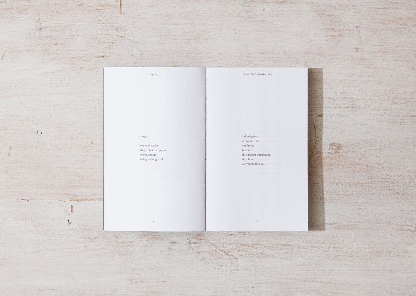 No Idea What I'm Doing But F*ck It