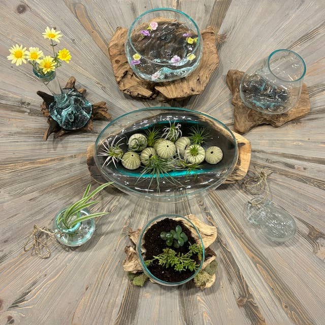 Large Glass Bowl Hand Blown Glass on Driftwood