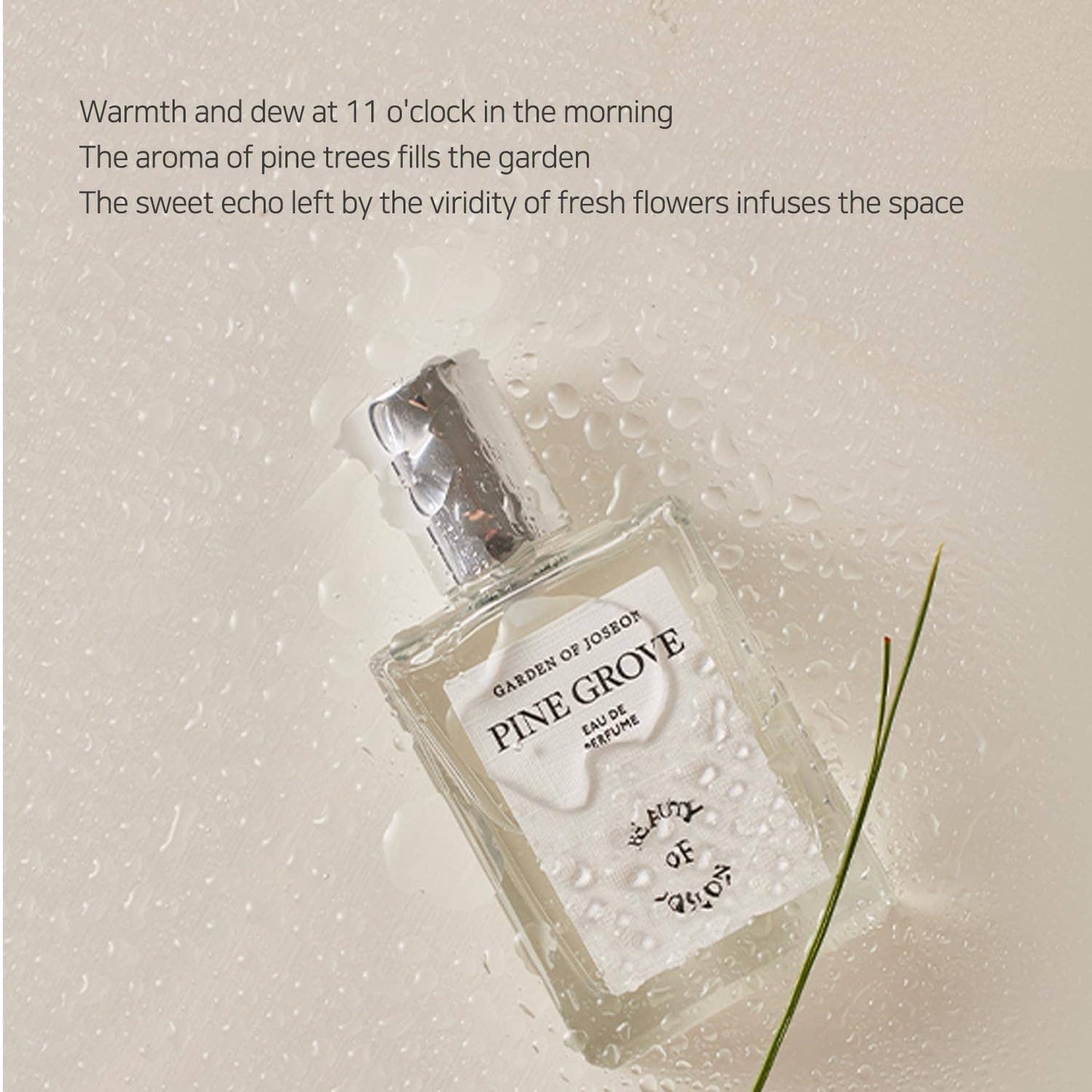 Beauty Of Joseon Pine Grove Eau De Perfume