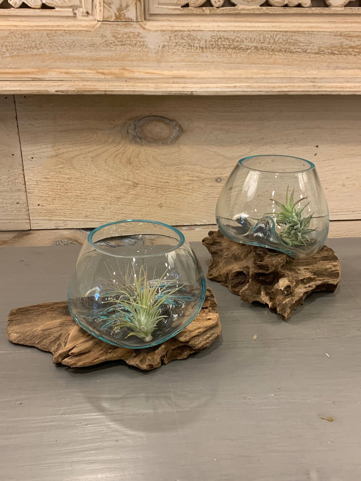 Mini Glass Terrarium on Wood (approx. 6" x 5" x 5")