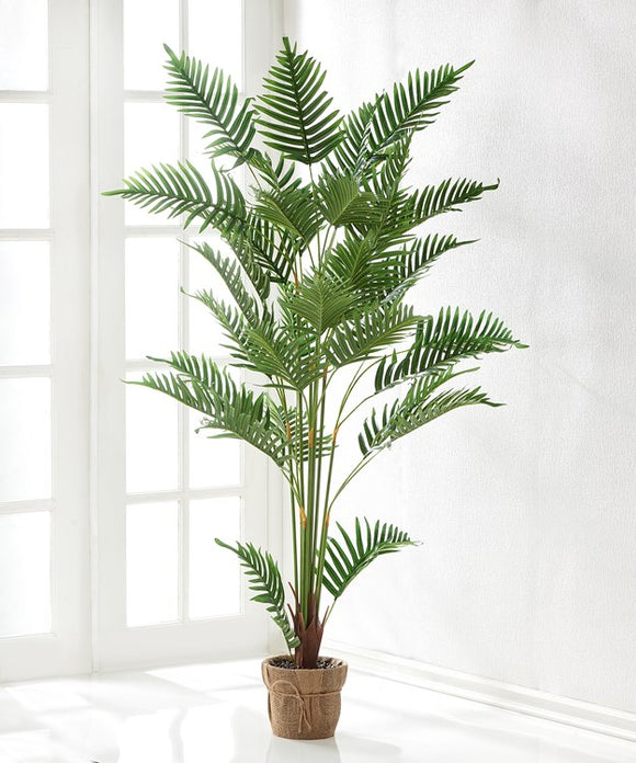 Decorative Plant w/Basket